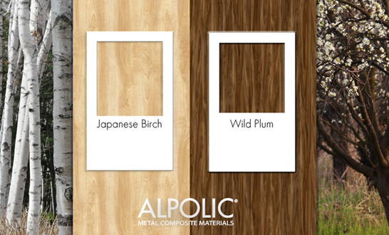alpolic-Jap-Birch_Wild-Plum