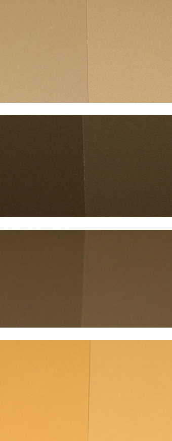 ppg-2-color-2