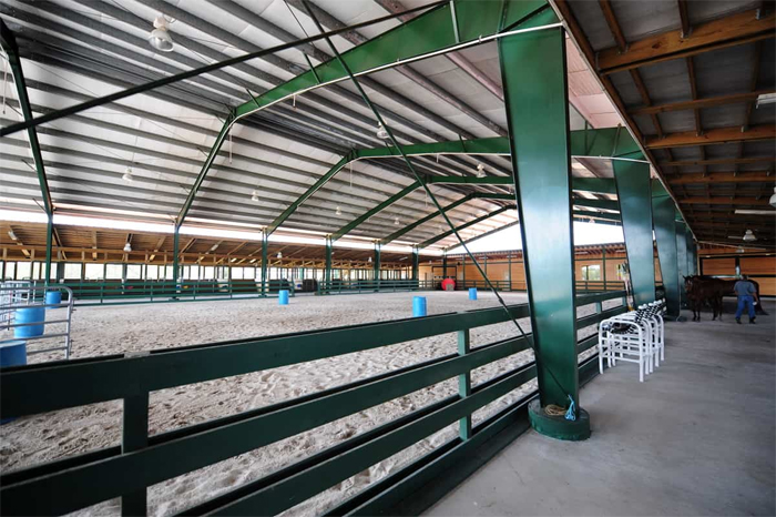 MBMI-Equestrian