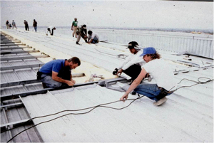 Rob_Haddock_early_days_rooftop