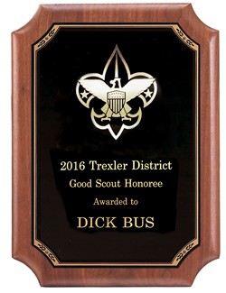 dick-bus-boy-scout-award-2