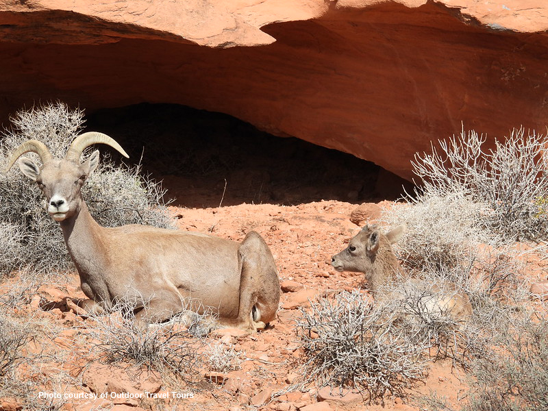 Valley-of-Fire-1