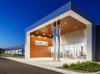 halo branded solutions seattle
